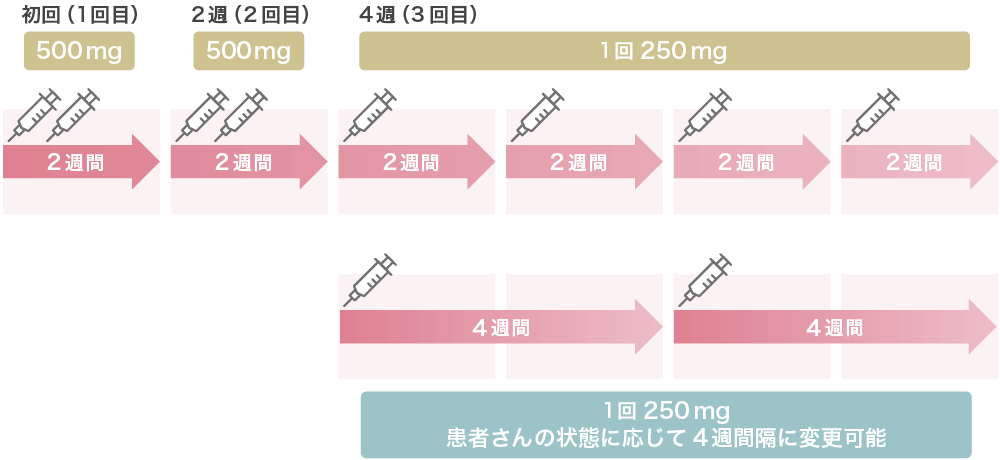 イブグリースの投与スケジュール